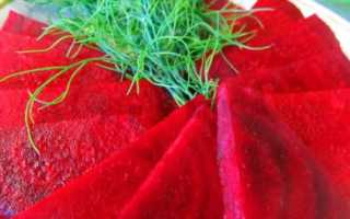 Как заквасить свеклу в домашних условиях: самые вкусные рецепты заготовок и полезные советы по их приготовлению