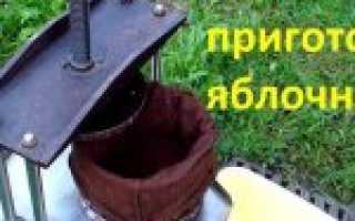 Яблочный сок на зиму: простые рецепты и секреты приготовления