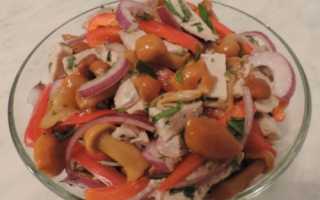 Рецепты салатов с говядиной и маринованными огурцами