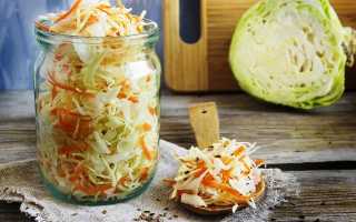 Квашеная капуста на зиму: 10 простых и очень вкусных рецептов приготовления, когда готовить