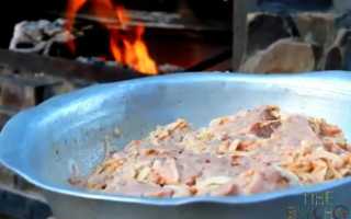Шашлык из индейки. Как вкусно замариновать птицу, чтобы мясо было мягким?