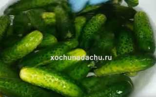 Вкусные хрустящие огурцы в 1 литровых банках на зиму