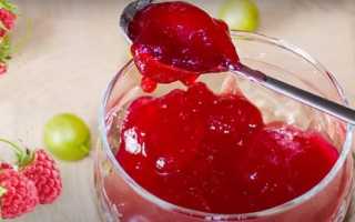Малиновое желе — 7 вкусных рецептов на зиму с фото пошагово