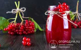 Варенье из калины: простые рецепты домашних заготовок