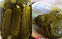 Как засолить крупные огурцы на зиму кружочками: самые вкусные рецепты и советы по их приготовлению