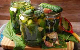 Огурцы по-болгарски — самые вкусные рецепты на зиму