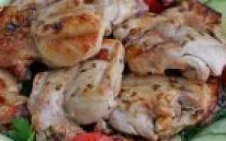 Шашлык из курицы с уксусом и луком – классический рецепт