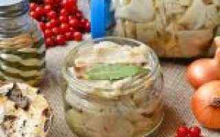 Грузди солёные холодным способом — 9 очень вкусных и всегда удачных рецептов