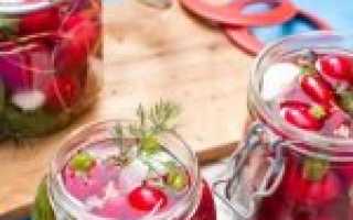 Маринованный редис на зиму: 7 рецептов пикантной закуски