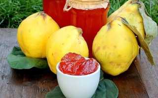 Варенье из айвы на зиму — самые вкусные рецепты с лимоном, орехами, яблоками