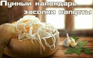 На заметку хозяйкам: солим капусту в ноябре 2021 — благоприятные дни для квашения любимого овоща