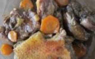 Утка в мультиварке – вкусная птичка! Рецептуры разных блюд из утки в мультиварке: тушеных и жареных – Автор Екатерина Данилова – Журнал Женское мнение